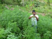 Ігор Дмитрук фотография #26 (источник - https://vk.com/id36405263)