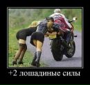 Віталій Свиненко фотография #6 (источник - https://vk.com/id287016407)