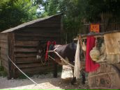 Анна Цымбал фотография #45 (источник - https://vk.com/id2266870)