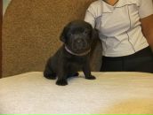 Фотография Соловьевой Екатерины