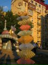 Людмила Солотвінська фотография #37 (источник - https://vk.com/id14781118)