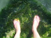 Карина ..... фотография #49 (источник - https://vk.com/id4209867)