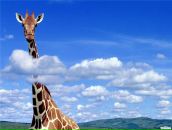 Фотография Тартачакова Евгения