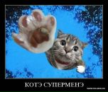 Фотография Журавской Анастасии