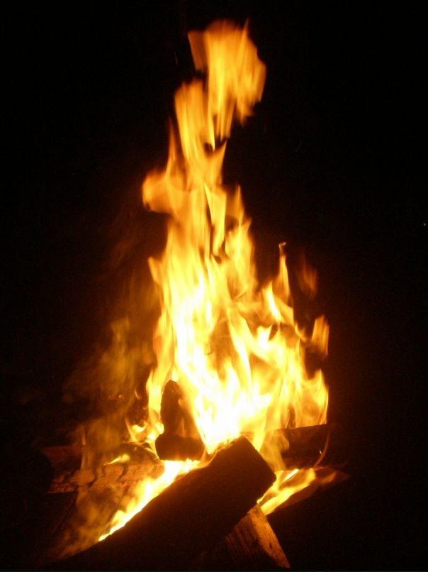 Александр Плотников фотография #4