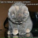 Зорі4ка:))) Правдун$_$ фотография #8 (источник - https://vk.com/id155770547)