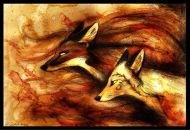 Кіт Шредингера фотография #16 (источник - https://vk.com/id4579307)