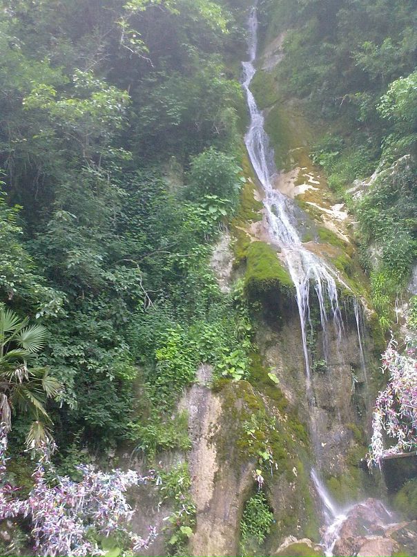 Igor Igor фотография #22