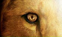 Фотография Герасимовой Иды