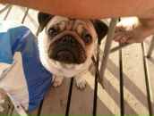 Фотография Недоспасова Игоря