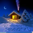 Фотография Цеханович Никита