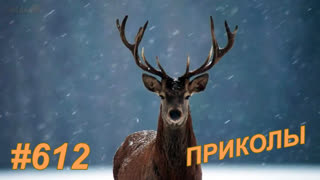 Приколы декабрь 2019 №612