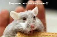 Фотография Gritsyuk Ivan