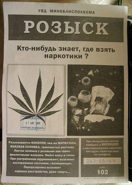 Dima Baraka фото №16