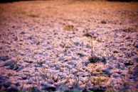 Anton Petroff фотография #30 (источник - https://vk.com/id1179318)