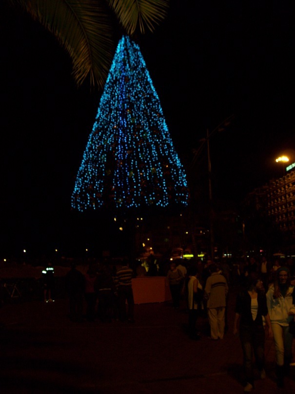 Митя Борщев фотография #15