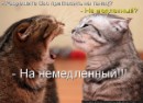 Стас Тимофеев фотография #29 (источник - https://vk.com/id3975274)