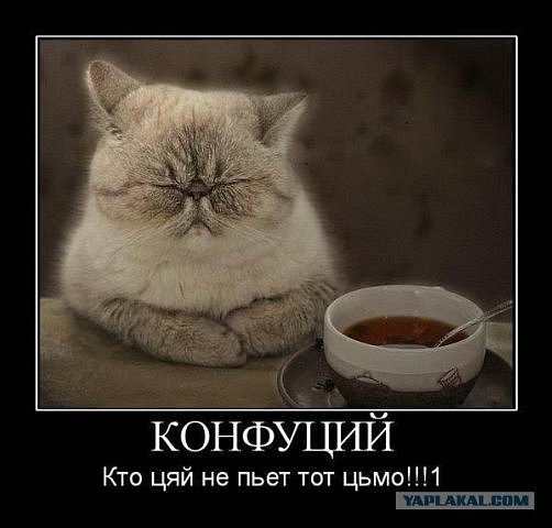 №7, Павел Шарапов, 39 лет, Чебоксары №7, Павел Шарапов, 39 лет, Чебоксары