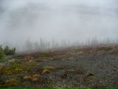 Дмитрий Тарасенко фотография #10 (источник - https://vk.com/id276015)