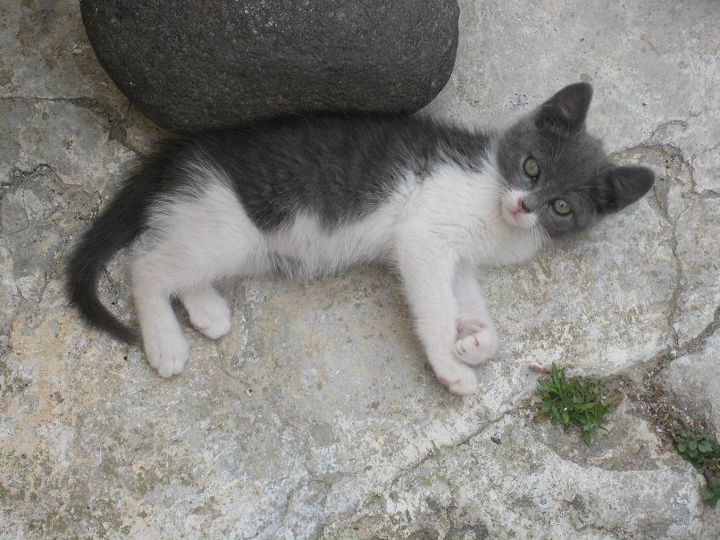 Наталья Леонова фотография #23