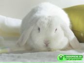 Фотография Mandrik Yulia