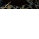 Aleksei N фотография #17 (источник - https://vk.com/id153556975)