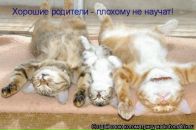 Нікіта Аустерманас фотография #46 (источник - https://vk.com/id98848800)