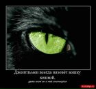 Фотография Бабочки Екатерины