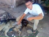 Фотография Разводовского Андрея