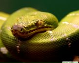 Фотография Климушкиной Анны