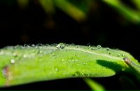 Фотография Мельникова Павла