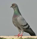 Фотография Ткачёвой Марии