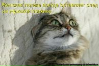 Фотография Коротаева Максима