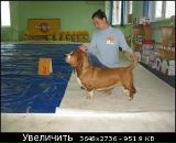 Фотография Харитоновой Севиль