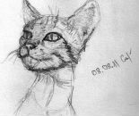 Фотография Симакова Владимира