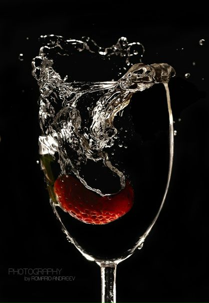 Дмитрий Гриценко фото №37