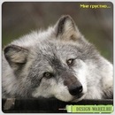 Іван Бойко фотография #28 (источник - https://vk.com/id74738073)