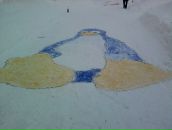 Фотография Сайгакова Евгения