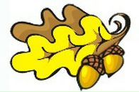 Фотография Богословской Елены