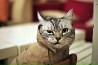 Фотография Сырицо Светлана