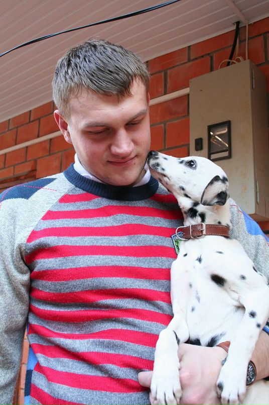 Дмитрий Сергин фотография #23