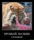 Віталік Новак фотография #42 (источник - https://vk.com/id14774341)
