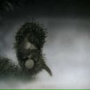 Фотография Козлитиной Екатерины