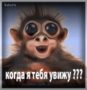 Тарас Міхаліцин фотография #21 (источник - https://vk.com/id347179512)