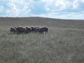 Ігор Андрейчин фотография #39 (источник - https://vk.com/id4710660)