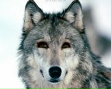 Фотография Палиной Виктории