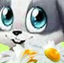 Надежда Калашник фотография #47 (источник - https://vk.com/id90428131)