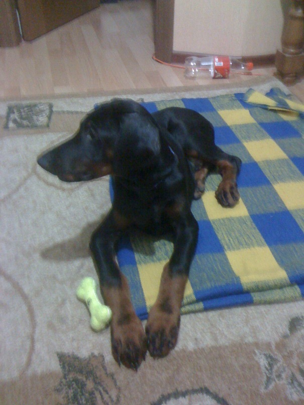 Руслан К фотография #30