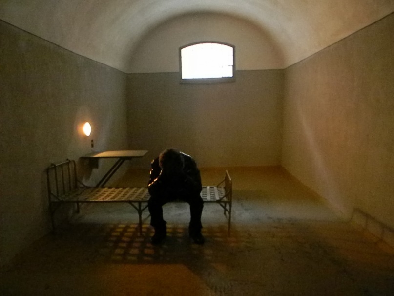 Данил Берковский фотография #33