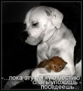 Карина Κозлова фотография #13 (источник - https://vk.com/id109718329)